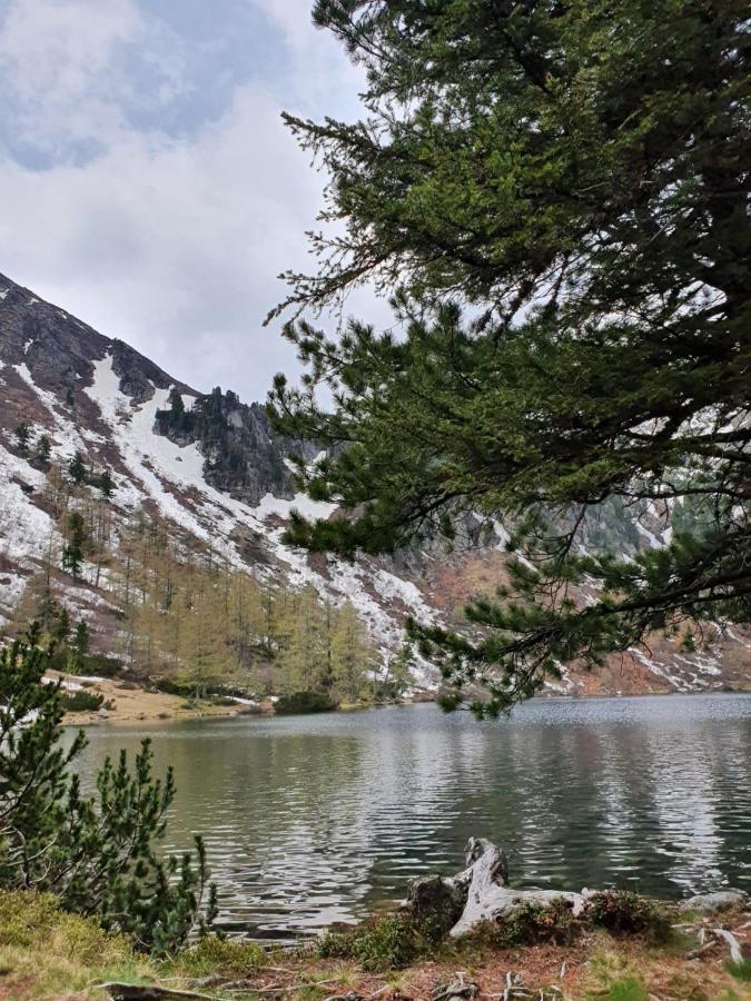 Grassegger Appartementhaus Sankt Johann am Tauern Eksteriør billede