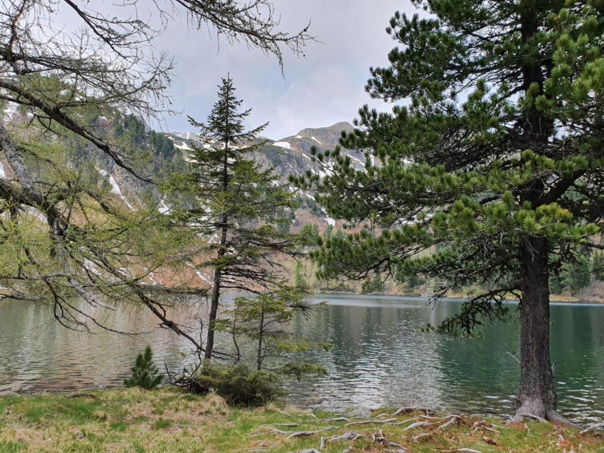 Grassegger Appartementhaus Sankt Johann am Tauern Eksteriør billede