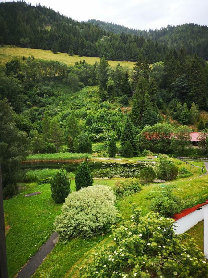 Grassegger Appartementhaus Sankt Johann am Tauern Eksteriør billede