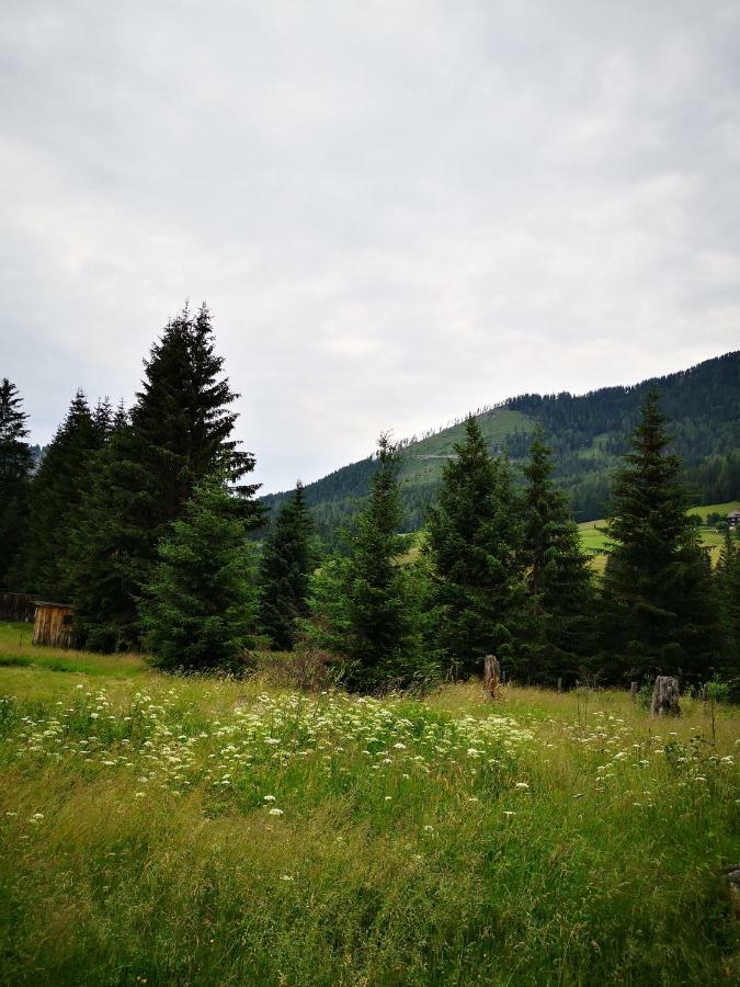 Grassegger Appartementhaus Sankt Johann am Tauern Eksteriør billede